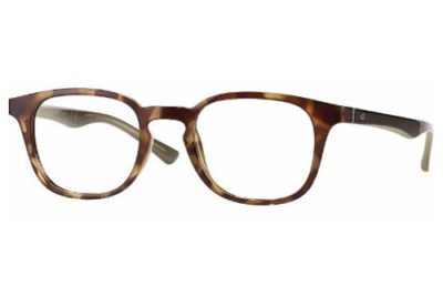 CentroStyle 19122 CRYSTAL/DARK BROWN DEMI   Eyeglasses