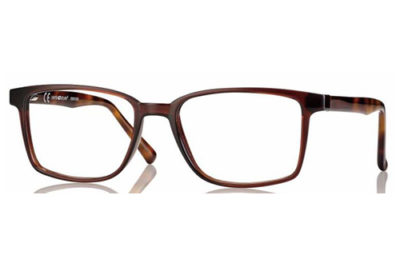 CentroStyle F022053063000 SHINY DK BROWN/D   Eyeglasses