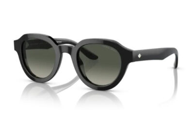 Armani 8172U  587571 46 Women's sunglasses