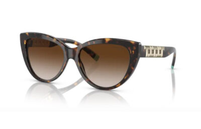 Tiffany & Co. 4196  80153B 56 Women's sunglasses