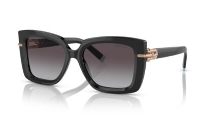 Tiffany & Co. 4199  80013C 53 Women's sunglasses