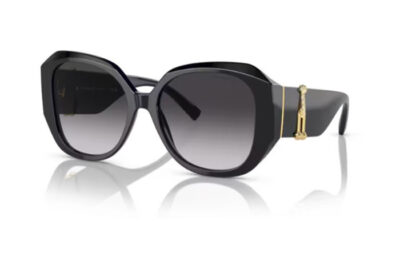 Tiffany & Co. 4207B  80013C 55 Women's sunglasses